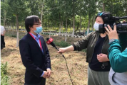 企鹅品牌全新升级腾讯内容生态全面开放